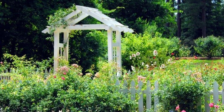 Den Garten sommerfit machen