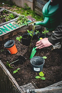 Funktionale und modische Damen Fleecejacken als Must-Have für die Gartenarbeit