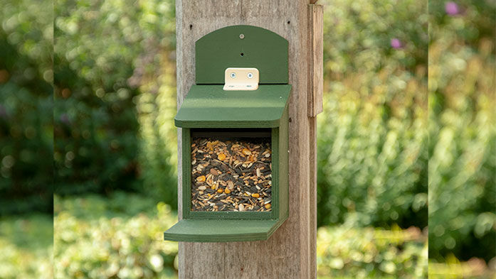 Eichhörnchen Futterautomat