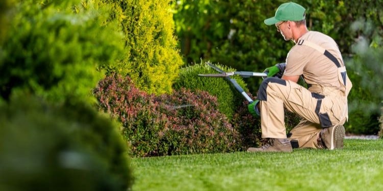 Gartenzeit ist Erholungszeit