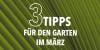 3 Tipps für den Garten im März