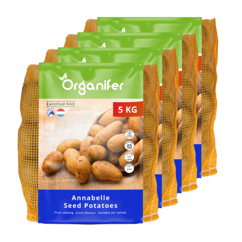 Organifer - Saatkartoffeln Annabelle A 28/32 (20 kg)