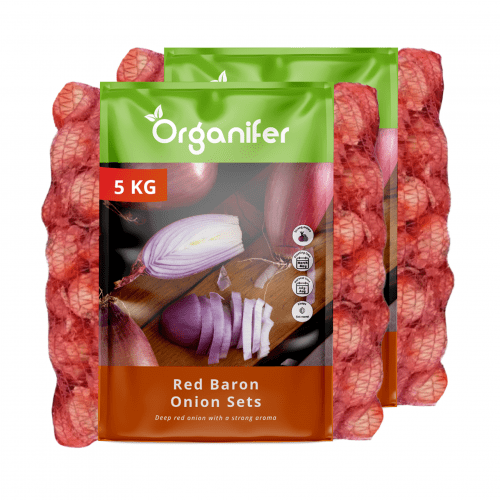 Organifer - Zwiebelsets Red Baron 14/21 (10 kg) - Tiefrote Schale und intensiver Geschmack