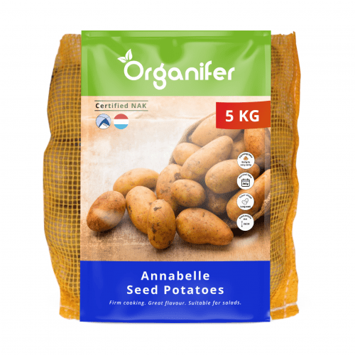 Organifer - Saatkartoffeln Annabelle A 28/32 (5 kg)