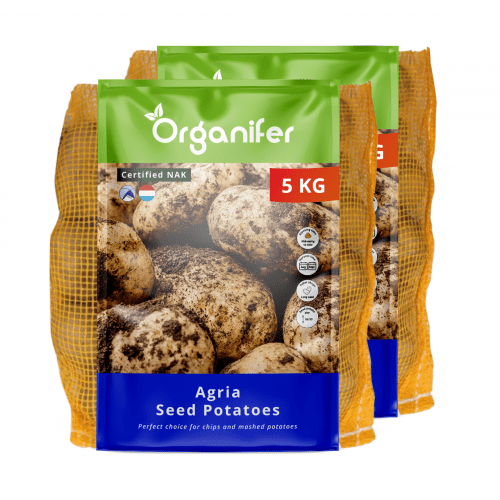 Organifer - Agria Pflanzkartoffeln 28/35 (10 kg)