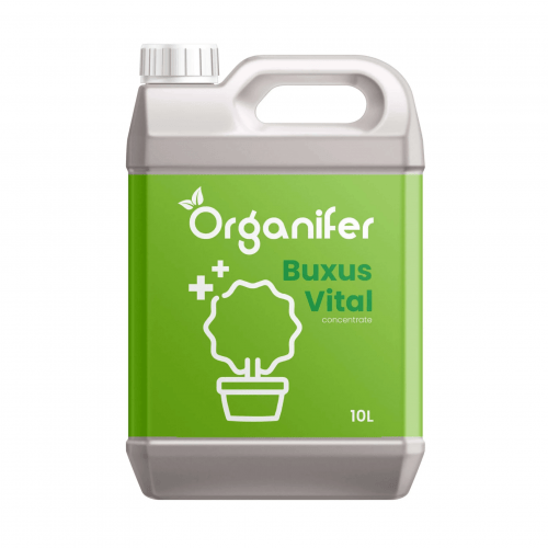 Organifer - Buxus Vital 10 L - Konzentrat für 1000 Meter Hecke