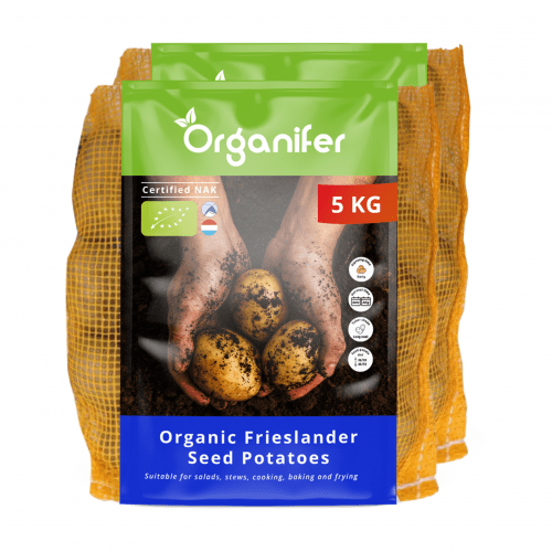 Organifer - Bio-Saatkartoffeln Frieslander A 28/35 (10 kg)