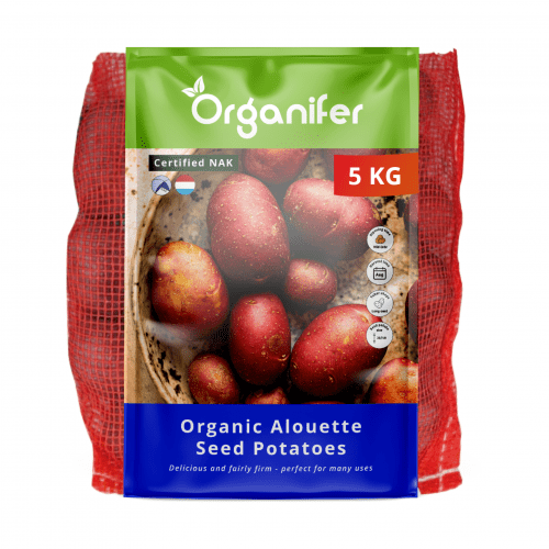 Organifer - Bio-Saatkartoffeln Alouette A 28/35 (5 kg)