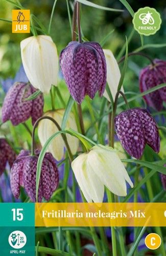 Fritillaria meleagris Mix 6/7 (15 Stück)