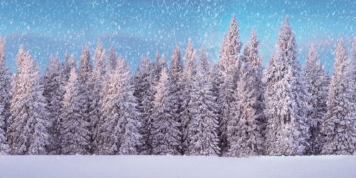 My Village | Hintergrund Tuch Schnee Wald | 150x75cm