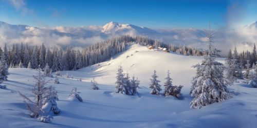 My Village | Hintergrund Tuch Winterwald | 150x75cm