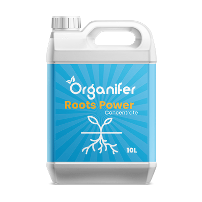 Organifer - Wurzelstimulator - Roots Power Konzentrat - 10 Liter