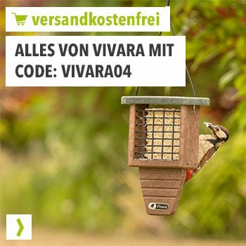 Vivara ohne Versandkosten