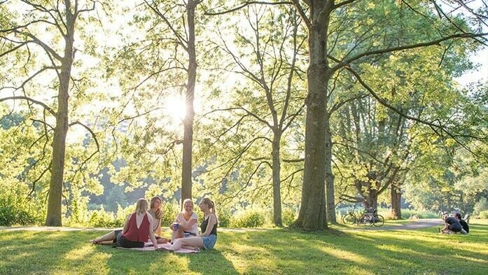 Freunde unter Baum