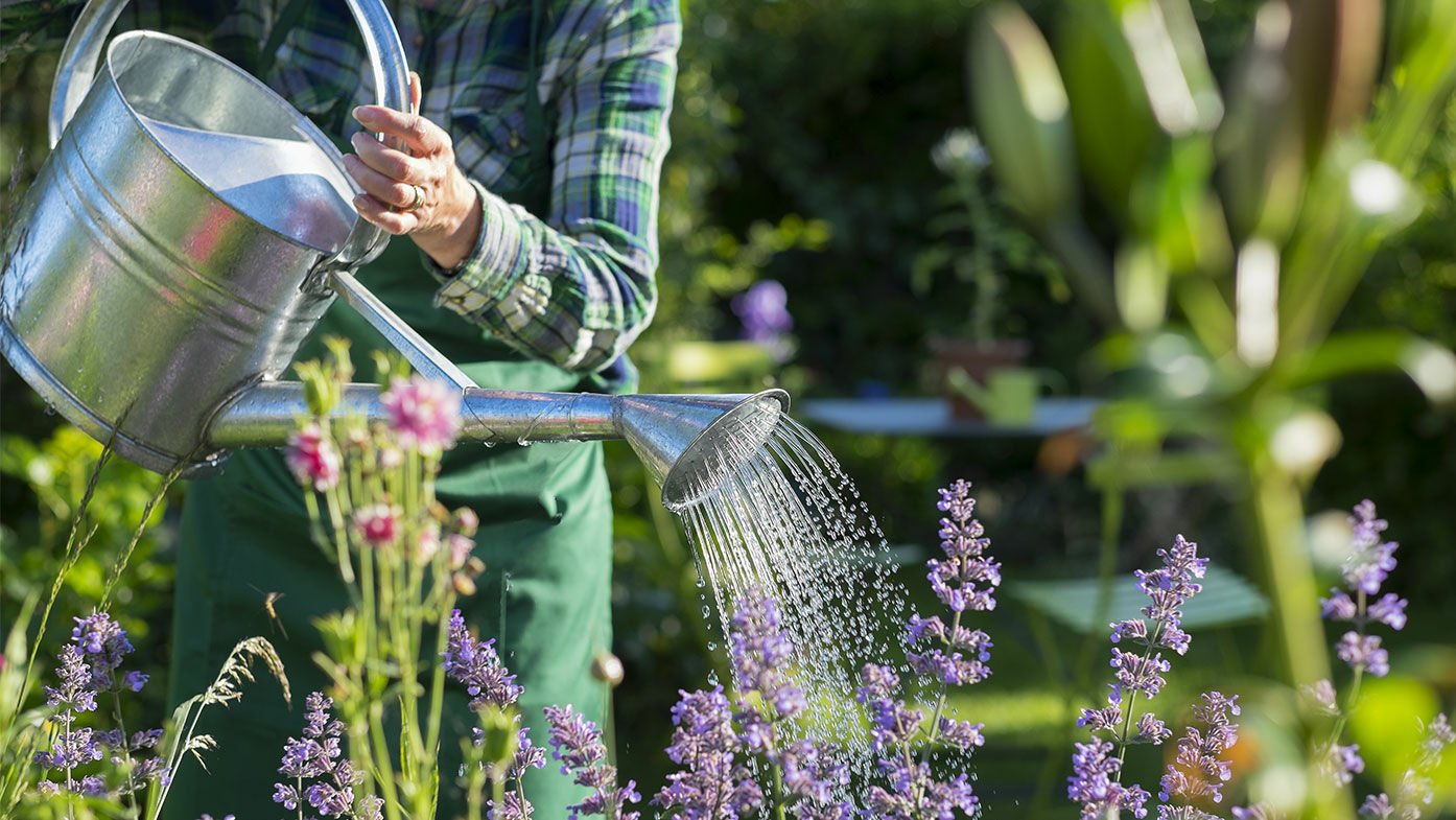 Garten mit Gießkanne bewässern