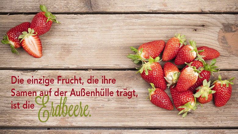 Einzigartige Erdbeeren