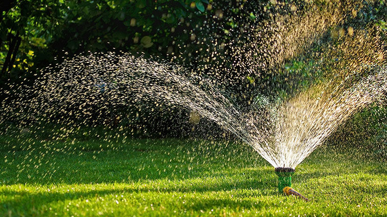 Wasser im Garten