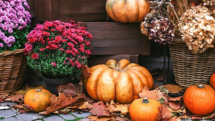 Herbstdeko mit Kürbissen