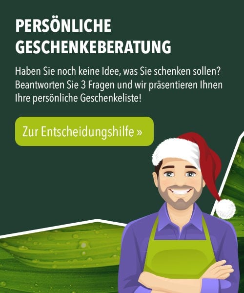 Entscheidungshilfe Weihnachtsgeschenke