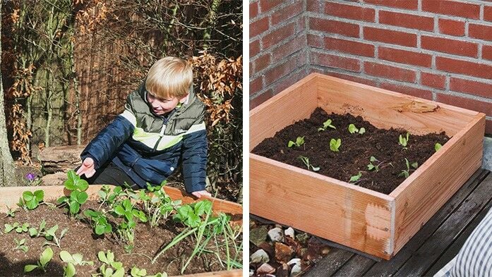 Gemüsegarten mit Kindern