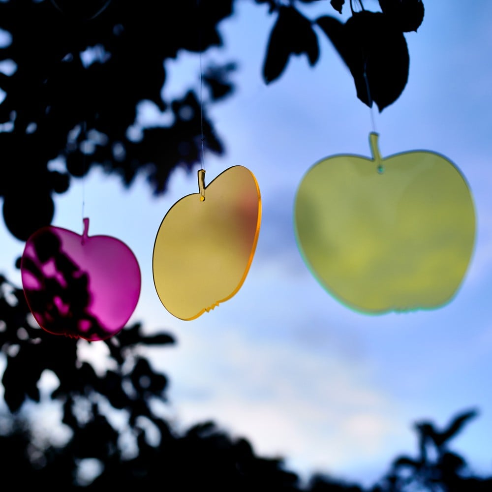 Sonnenfänger Apfel