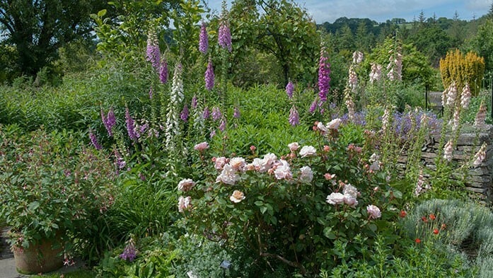 Naturgarten