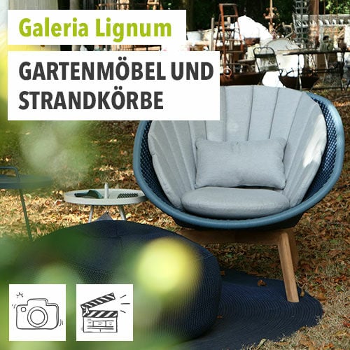 Galeria Lignum Aussteller