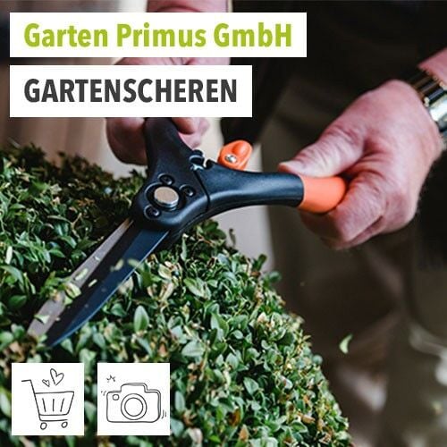 Garten Primus