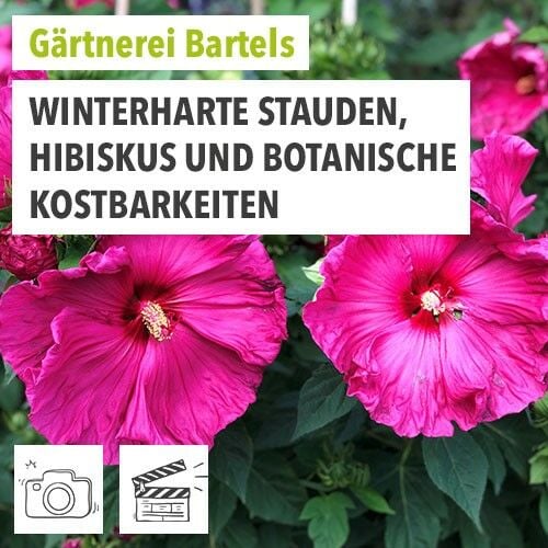 Gärtnerei Bartels Aussteller