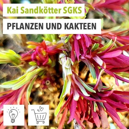 Sandkötter Aussteller