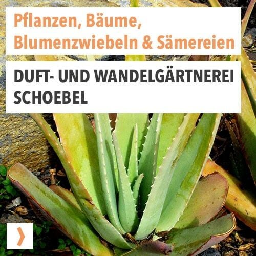 Duft- u. Wandelgärtnerei Schoebel