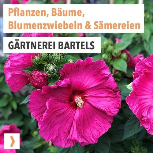 Gärtnerei Bartels