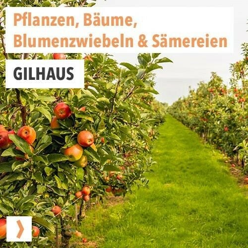 Gilhaus