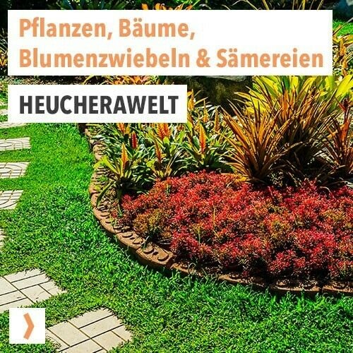 HEUCHERAWELT 