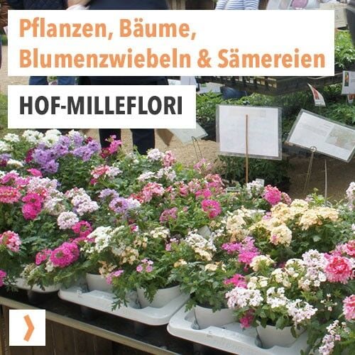 Hof-MilleFlori