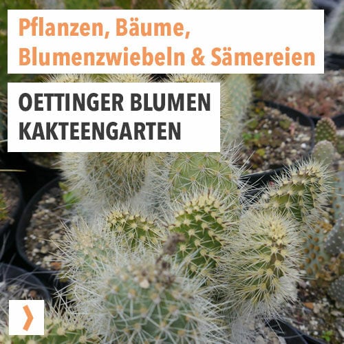 Oettinger Blumen/Kakteengarten