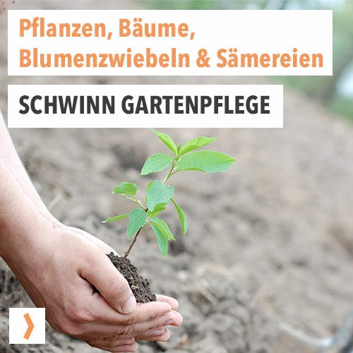 Schwinn Gartenpflege