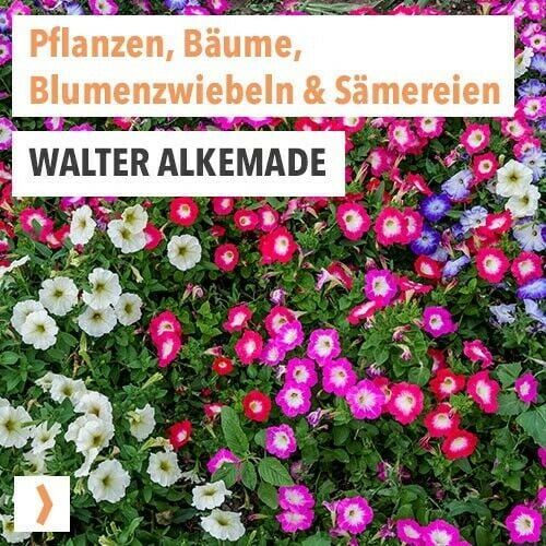 Walter Alkemade