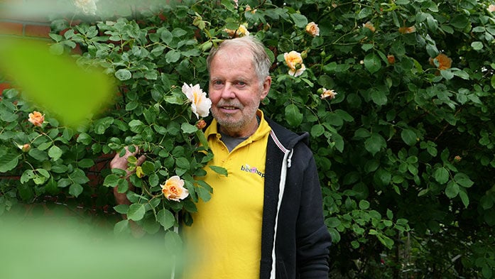 Wie Ihr Garten summen lernt